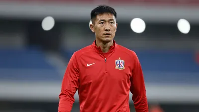 上海申花将在8月18日迎战北京国安，新任主帅弗拉丹·米洛耶维奇将首秀采用4-2-3-1进攻阵型，力争在保级关键期抢分。